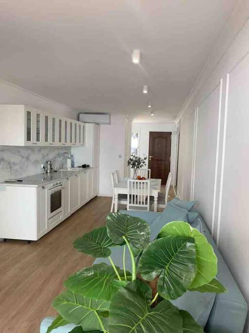 Flaming Apartment 4F 또레비에하 외부 사진